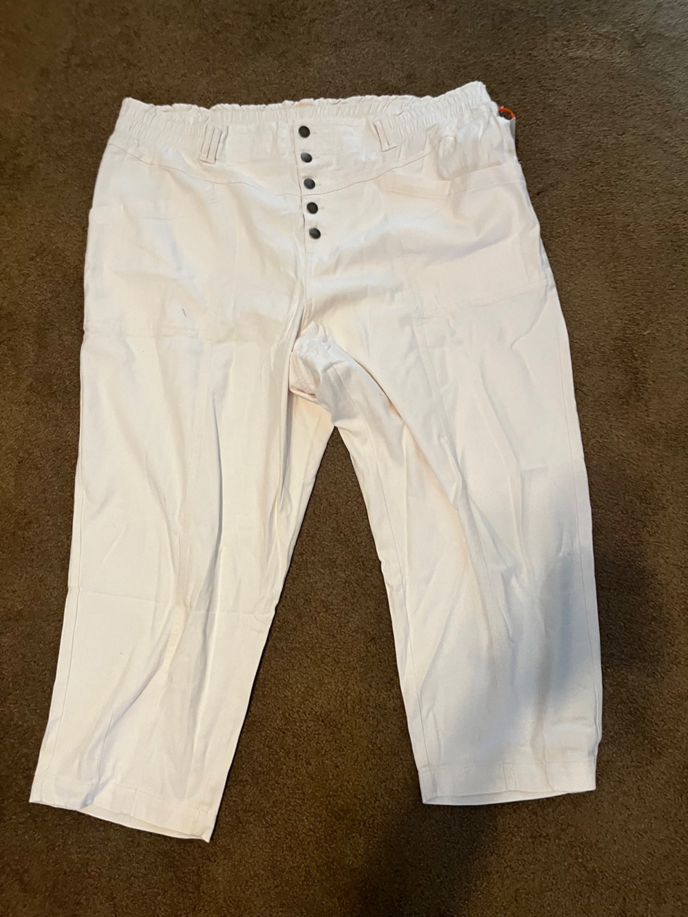 NWT Knox Rose Cream Button-Front Elastic-Waist Pants